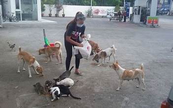 Helping Paws Hero Image